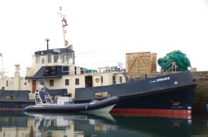 Oceanaddicts Dive with us South Coast of Ireland