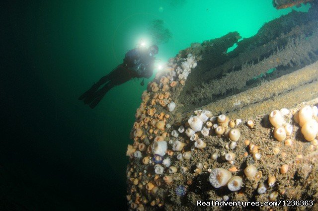 Diver on the Aud | Oceanaddicts Dive with us South Coast of Ireland | Image #5/10 | 