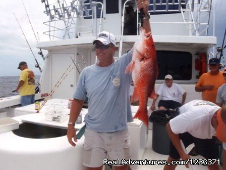 Orange beach Snapper fishing