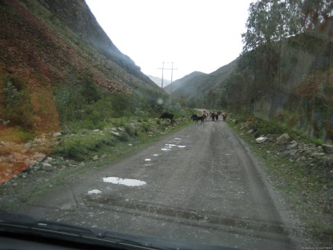 Lares Valley