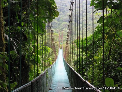 Monteverde