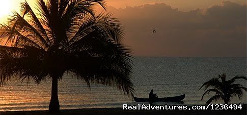 Our beach in Hopkins | Hopkins Getaway Inland EcoTours | Image #3/4 | 