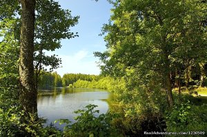 Catherine's Landing, An Rvc Outdoor Destination | Hot Springs National Park, Arkansas | Campgrounds & RV Parks