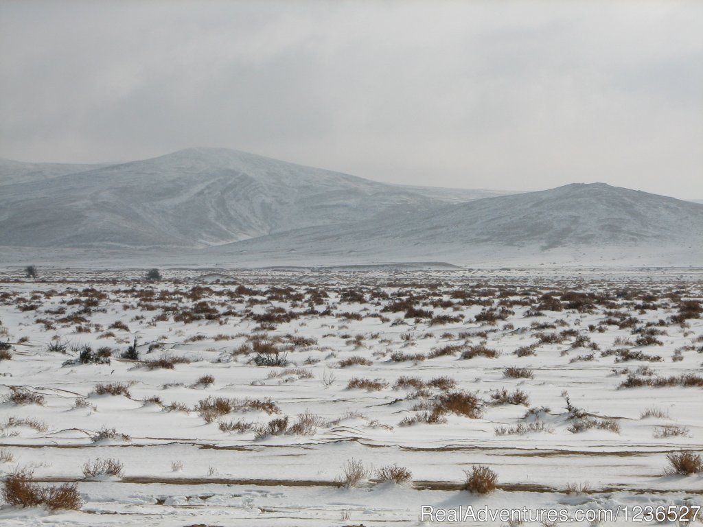 Every 10 years or so we get a winter like that | Boker Valley Farm | Image #12/26 | 