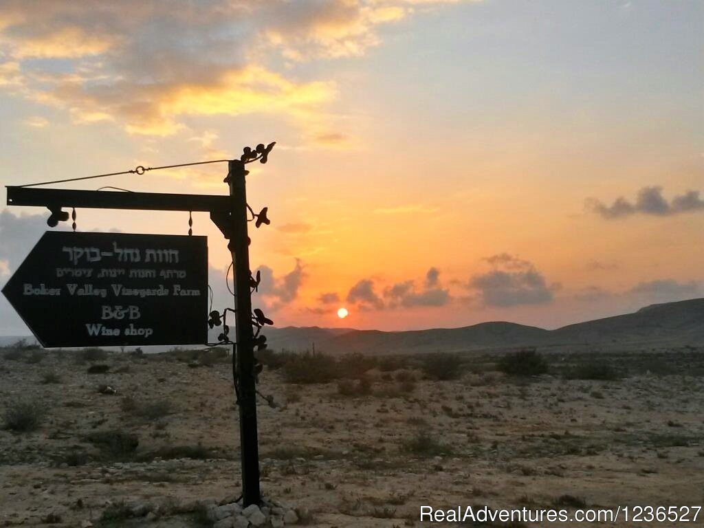 The farm entrance  | Boker Valley Farm | Image #22/26 | 