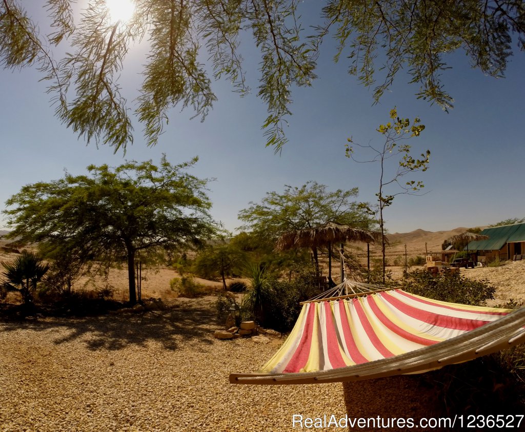 Outdoor area near a lodge | Boker Valley Farm | Image #23/26 | 