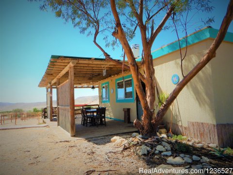 The family cabin outdoor space