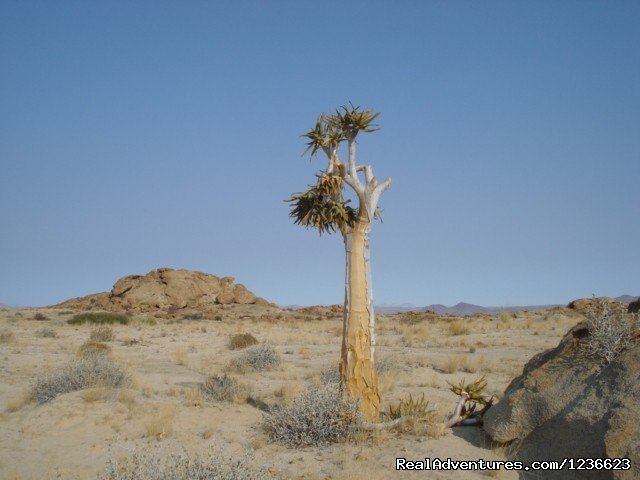 In the Namibi Desert | Swakopmund,  Namibia, apartment in historic house | Image #2/8 | 