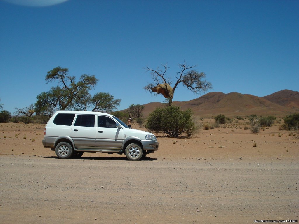 Safari in the Namib | Swakopmund,  Namibia, apartment in historic house | Image #7/8 | 