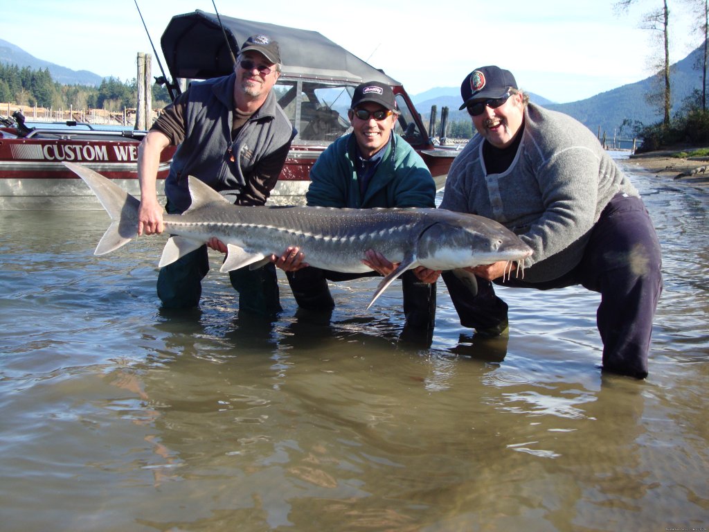 Did we say sturgeon? | Angling Adventures With Prestige Sportfishing | Image #4/4 | 