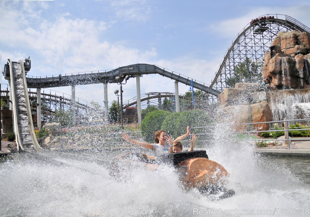 Log Flume Ride | Timber Falls Adventure Park & Mini Golf | Image #5/6 | 