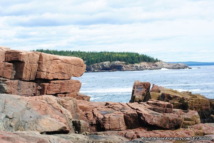 Ocean Drive | Acadia & Island Tours- Oli's Trolley | Image #9/11 | 