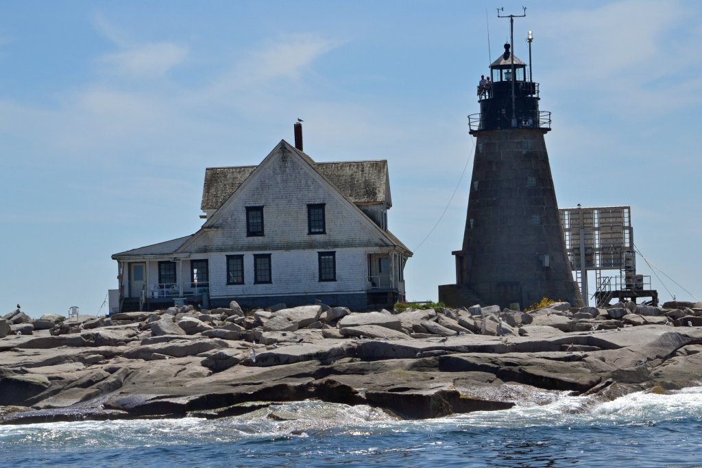 Mount Desert Rock | Down East Nature Tours | Image #10/11 | 