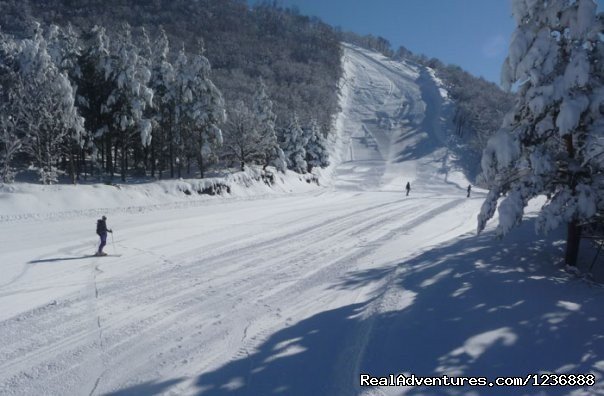 Skiing in Armenia | Yerevan, Armenia | Skiing & Snowboarding | Image #1/7 | 