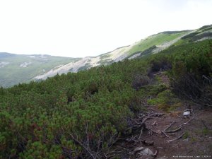 Expedition across the Wild Carpathians, 9 days | Lviv, Ukraine | Hiking & Trekking