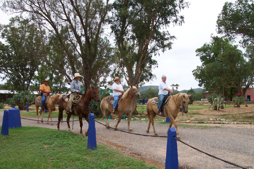 Giddy Up | Romantic Getaway at Historic Arizona Guest Ranch | Image #5/12 | 