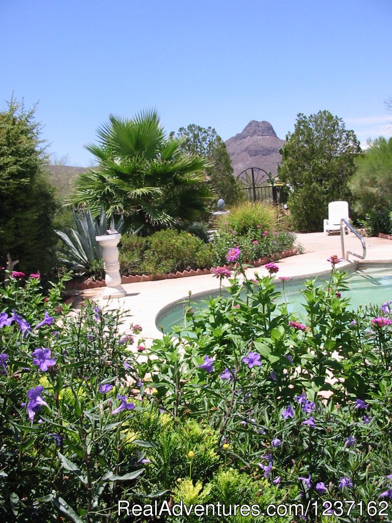 Pool Area | A Wild Purple Ranch & Retreat | Image #11/22 | 