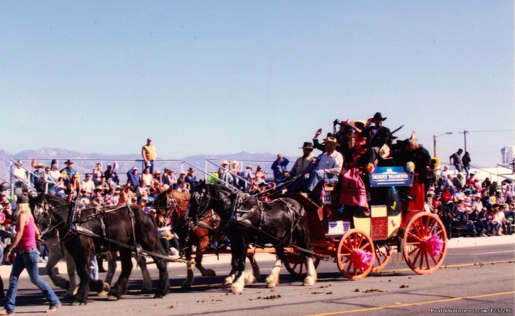 English Park Drag Coach | Tucson Rodeo Parade Museum | Image #6/6 | 