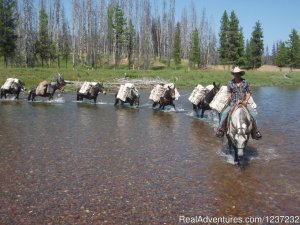 Horseback Riding Adventures