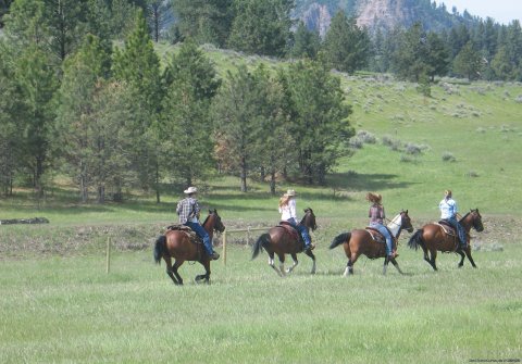 Fast-paced riding opportunities