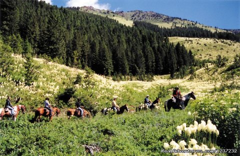 Pyramid Pass scenic trail ride