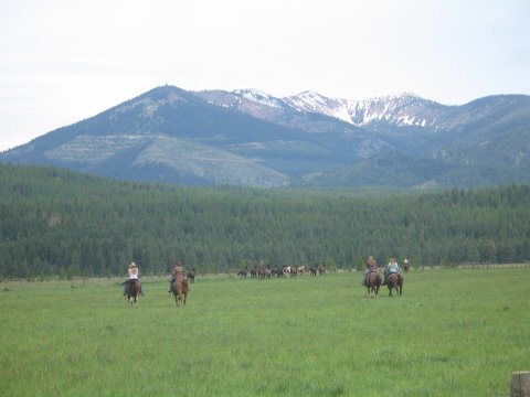 Early spring riding