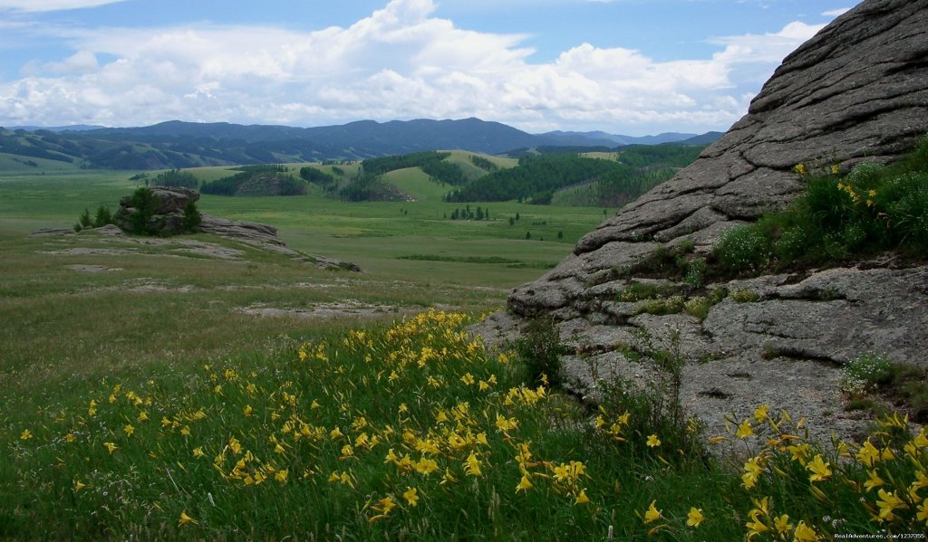 Stone Horse Expeditions & Travel, Terelj National Park | Mongolia Horseback Riding Tours  With Stone Horse | Image #20/26 | 