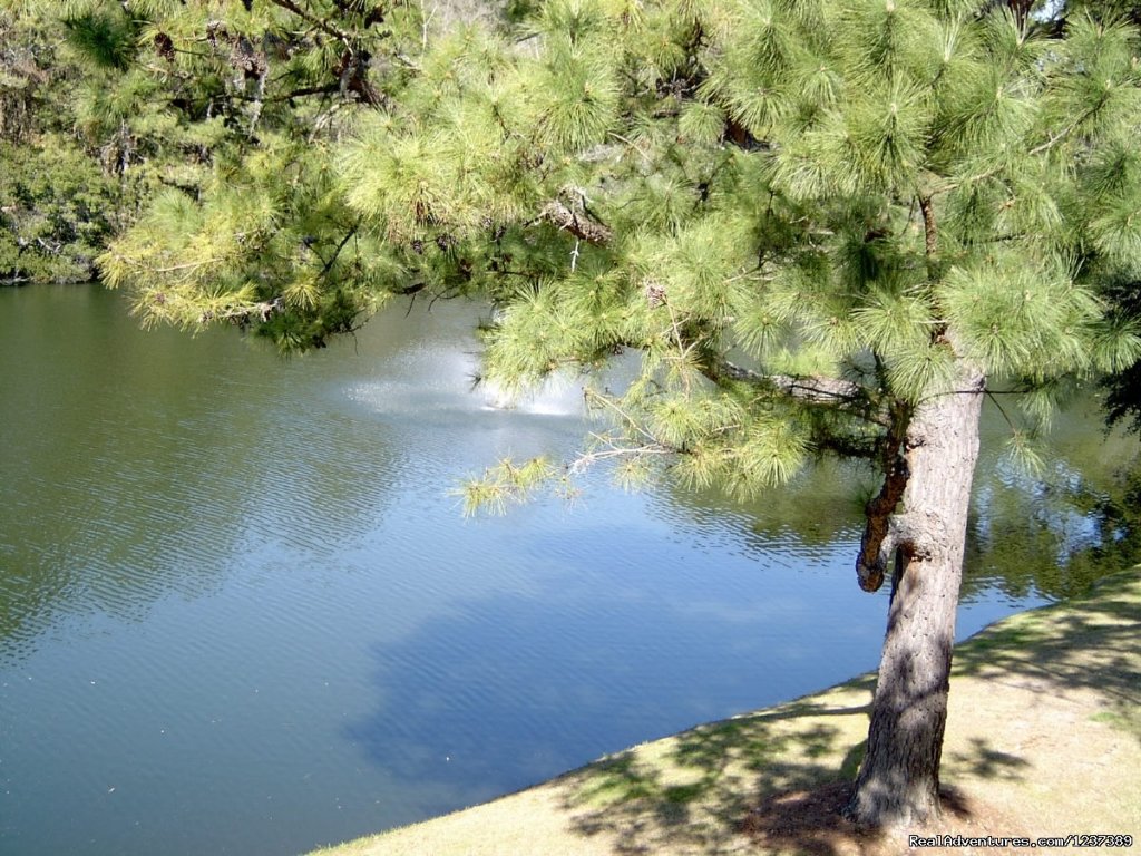 Lagoon view from balcony | OCEAN RESORT w/Largest Pool On Island On Beach | Image #15/16 | 