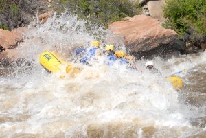 AVA Rafting and Mountaintop Zipline Tours