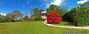 Lacatalina Hotel | Heredia, Costa Rica | Hotels & Resorts