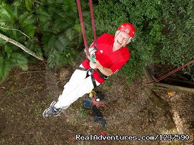 First tree climb in over 81 years young | Tree Climbing and Hiking in the Amazon Rainforest | Manaus, Brazil | Eco Tours | Image #1/6 | 