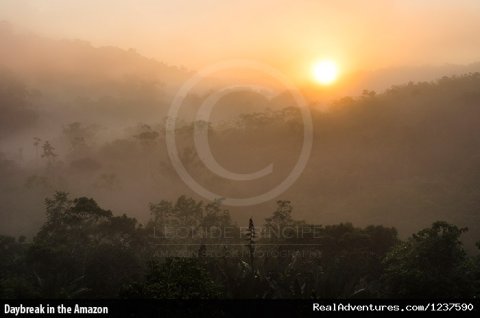 Daybreak in the Amazon