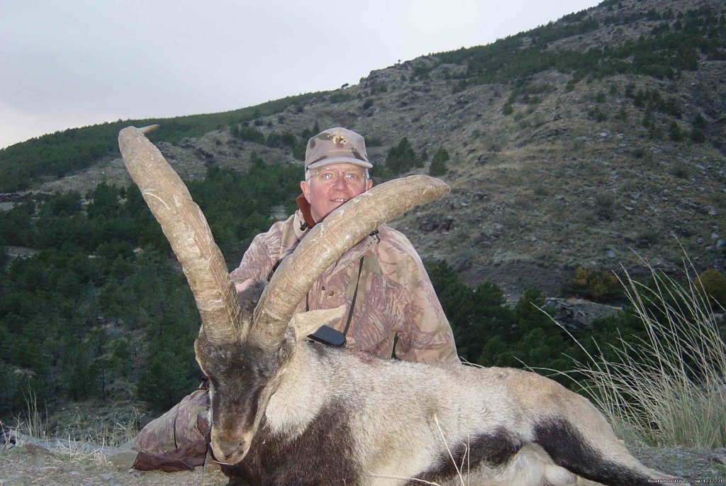 Ronda Ibex Steinbock Ronda | Hunting Trips to Spain | Image #10/11 | 