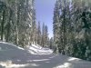 Ride The Volcano Snowmobile Mt Shasta, Ca. | Weed, California