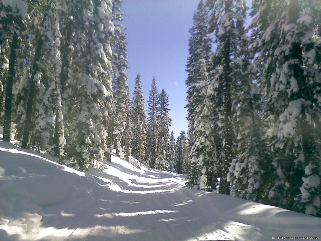 Another great day on the mountain | Ride The Volcano Snowmobile Mt Shasta, Ca. | Weed, California  | Snowmobiling | Image #1/12 | 