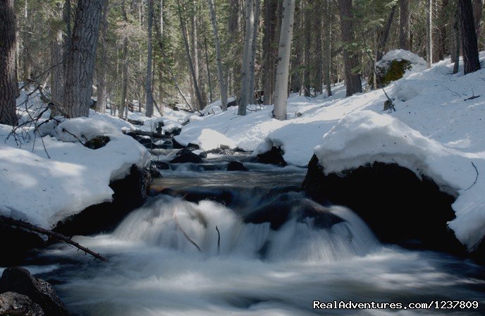 Butte Creek | Ride The Volcano Snowmobile Mt Shasta, Ca. | Image #8/12 | 