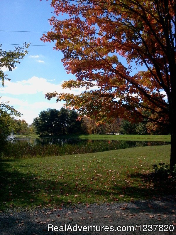 Cooperstown Shadow Brook Campground | Image #3/7 | 