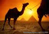 Daily Classical tour | Cairo, Egypt