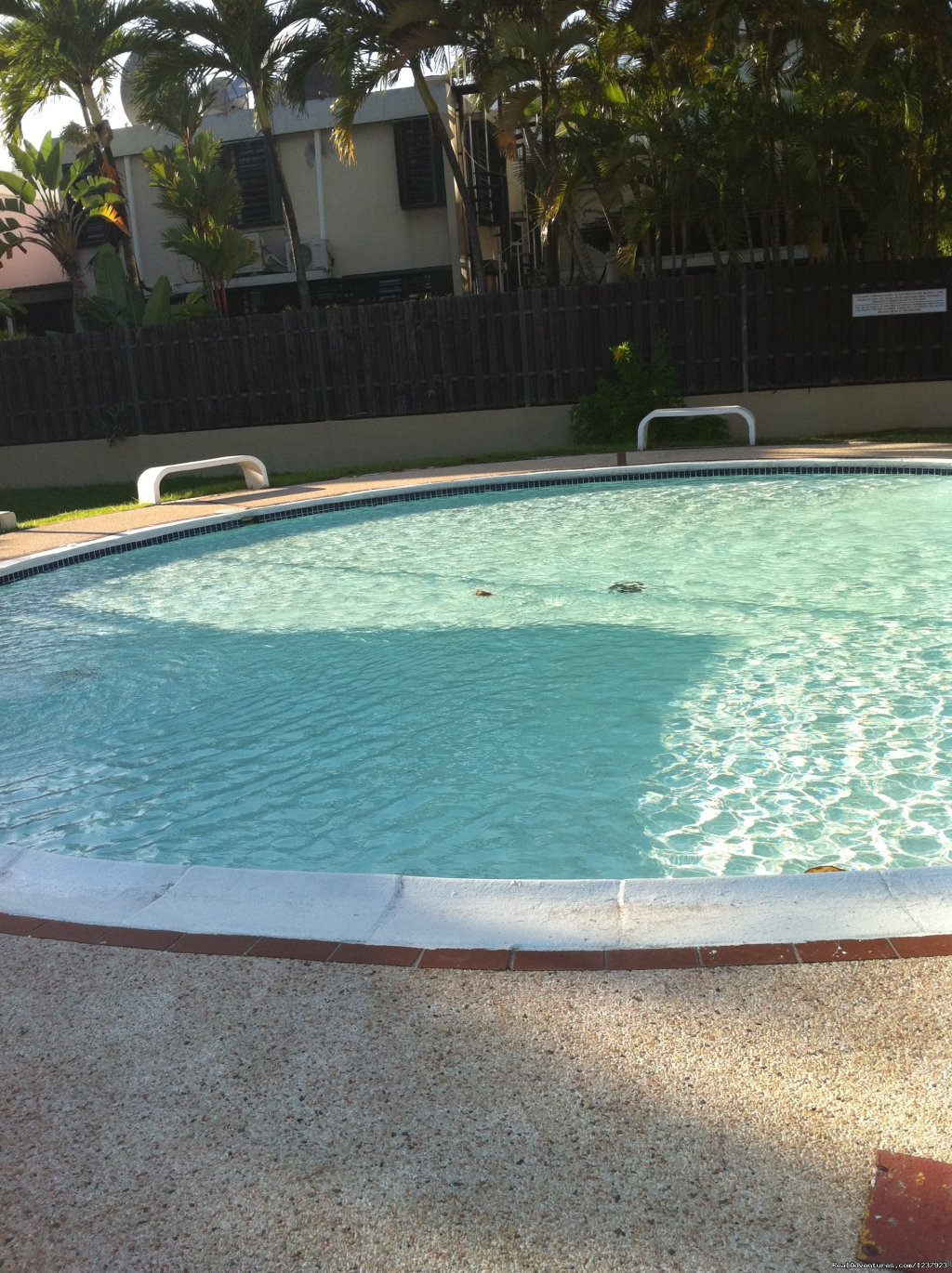 Kiddie Pool | Beautiful Apt in Isla Verde-Free bus to beach | Image #4/22 | 