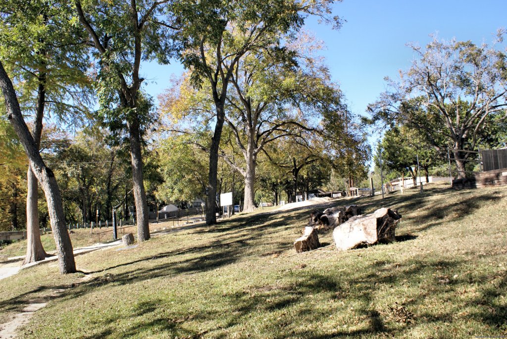 view of Pecan Grove along our River Park @ Rio Raft | Guadalupe River Vacation Getaways | Image #4/6 | 