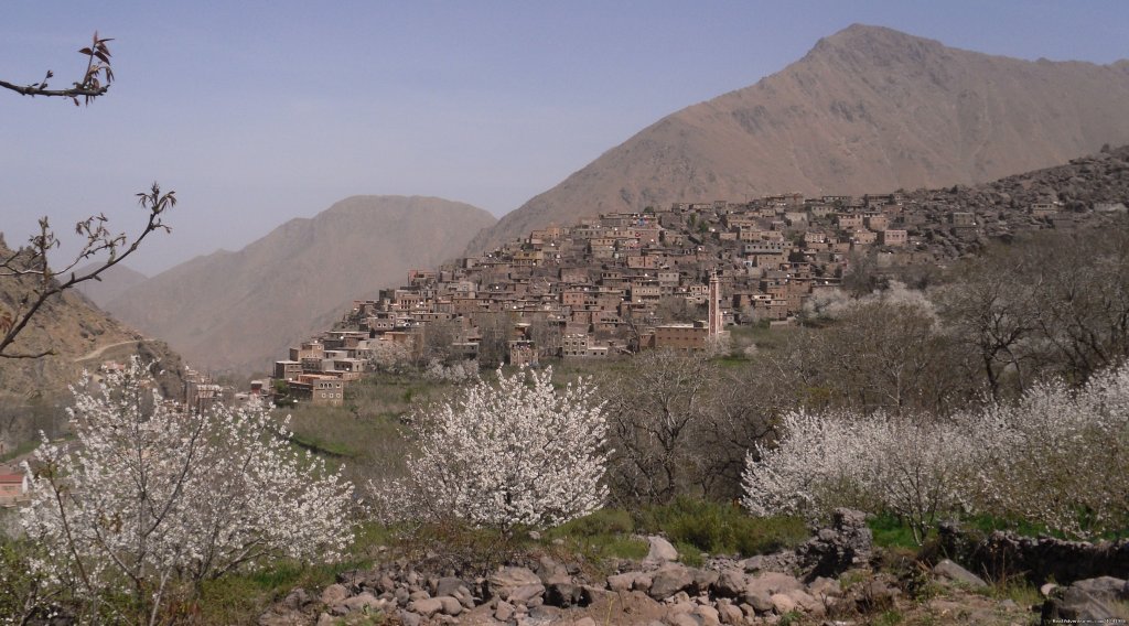 Aremdt | Toubkal Mountain Leader | Image #10/10 | 