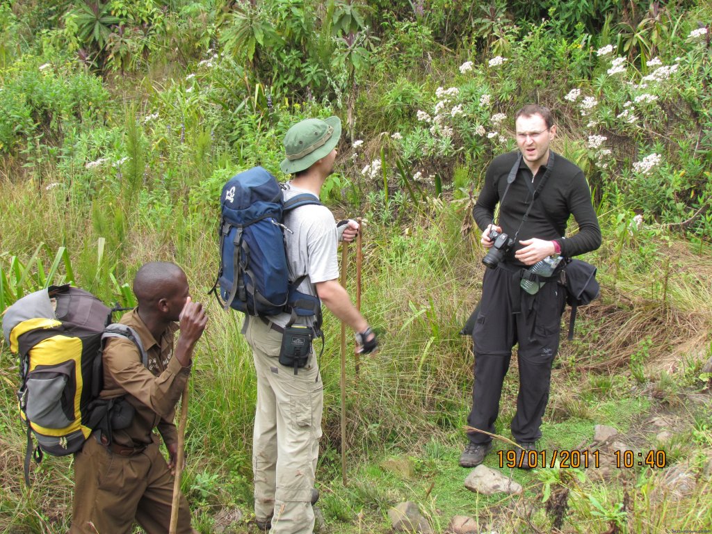 Rwenzori - Mountain Expedition | Trek the Rwenzoris 5109m high (the alps of Africa) | Image #3/7 | 