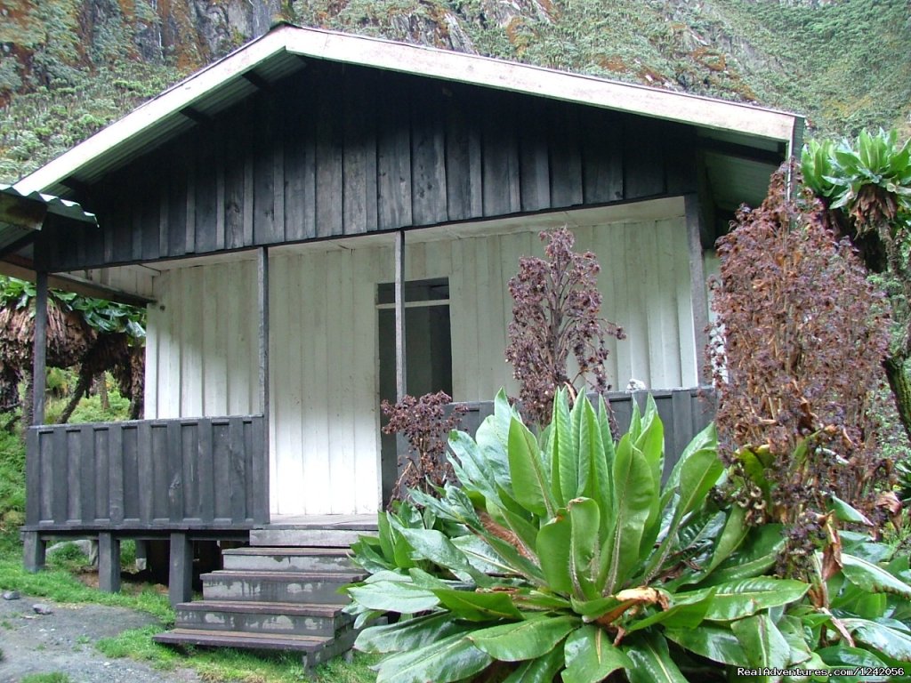 Rwenzori - Bujuku Tourist Camp  | Trek the Rwenzoris 5109m high (the alps of Africa) | Image #4/7 | 