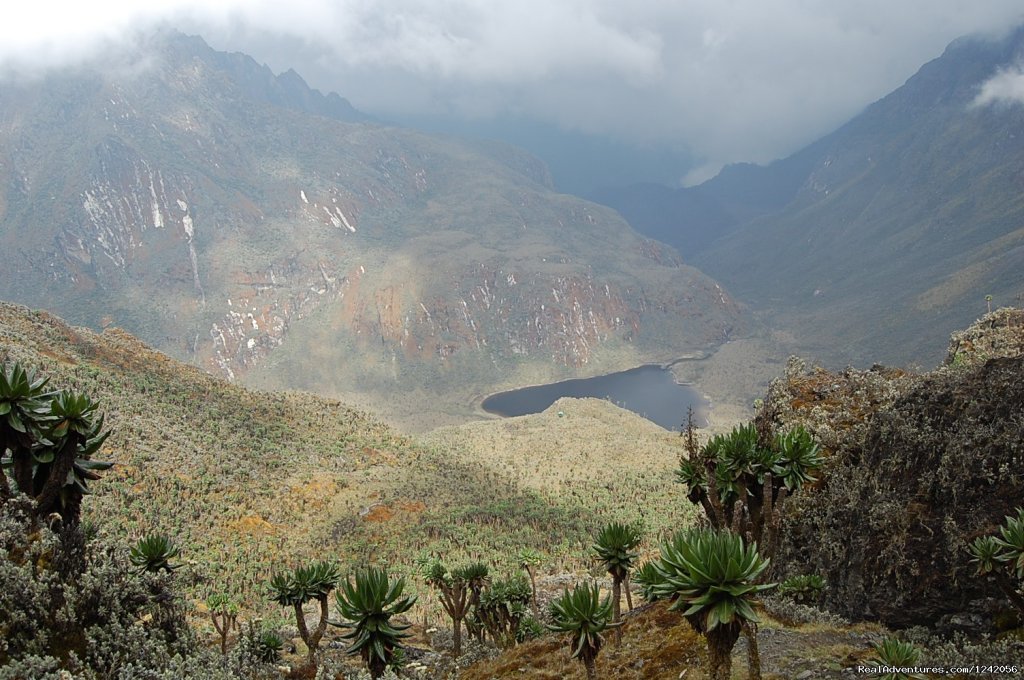 Lake Bujuku as from Scott Eliot Pass | Trek the Rwenzoris 5109m high (the alps of Africa) | Image #6/7 | 