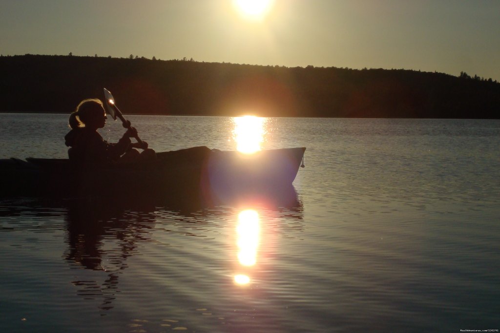 Southwest facing sunsets | View Northern Maine's Boreal Species | Image #8/21 | 