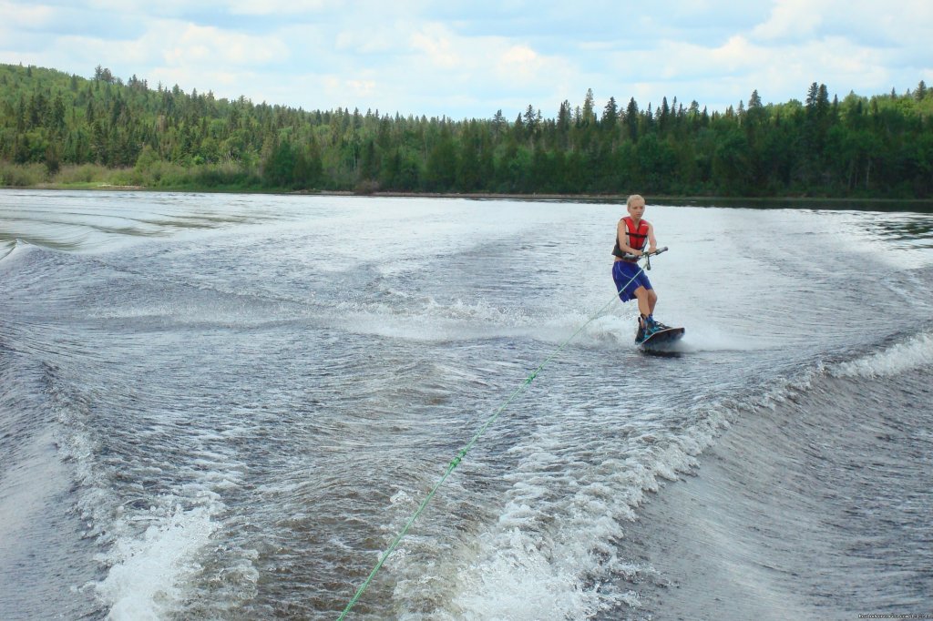 Daytime Fun for Everyone | View Northern Maine's Boreal Species | Image #9/21 | 