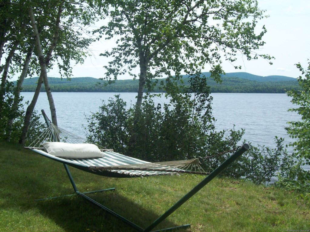 Relaxing | View Northern Maine's Boreal Species | Image #14/21 | 