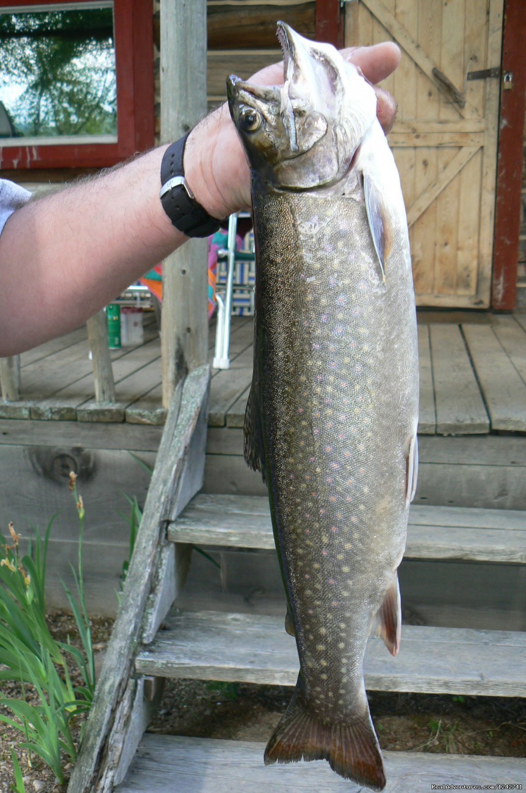 Great fishing | View Northern Maine's Boreal Species | Image #16/21 | 