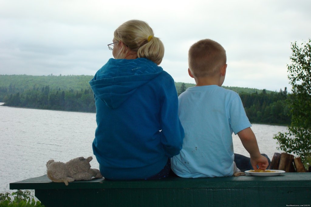 Family | View Northern Maine's Boreal Species | Image #19/21 | 