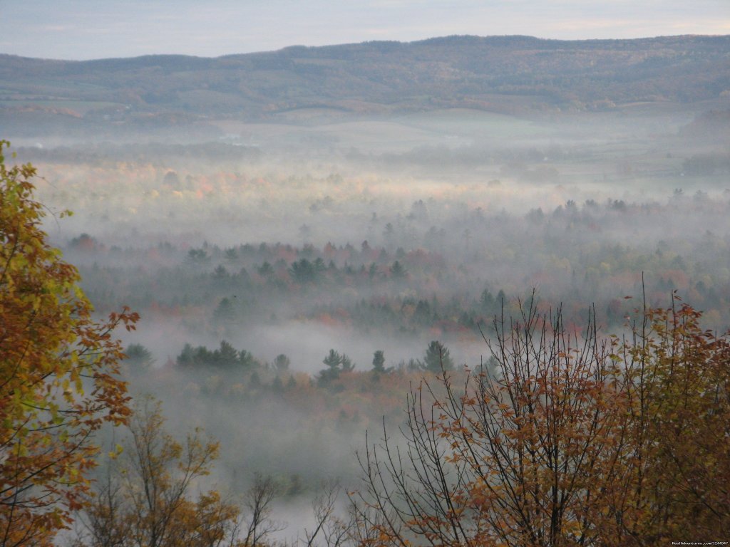 Misty Swamp | Yurt for Rent- Private Nature Retreat | Image #8/12 | 